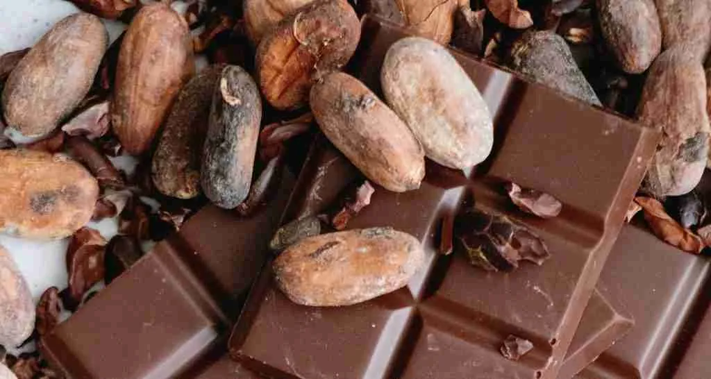 La séptima versión de la Rueda de Negocios de Cacao y Chocolatería organizada por ProColombia, se llevará a cabo desde hoy 16 al 18 de noviembre y contará con la participación de 44 compradores de 18 países y 45 empresas de 16 departamentos del país. La paleta de sabores de cacao colombiano está directamente relacionada con el amplio esp