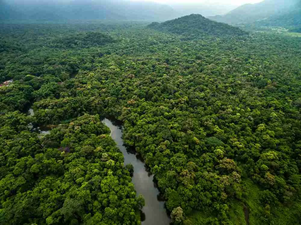 marfrig en el The Global Landscapes Forum Amazonia 2021 COP26 Glaswog Escocia Negocios Latinoamérica Avisos del Agro