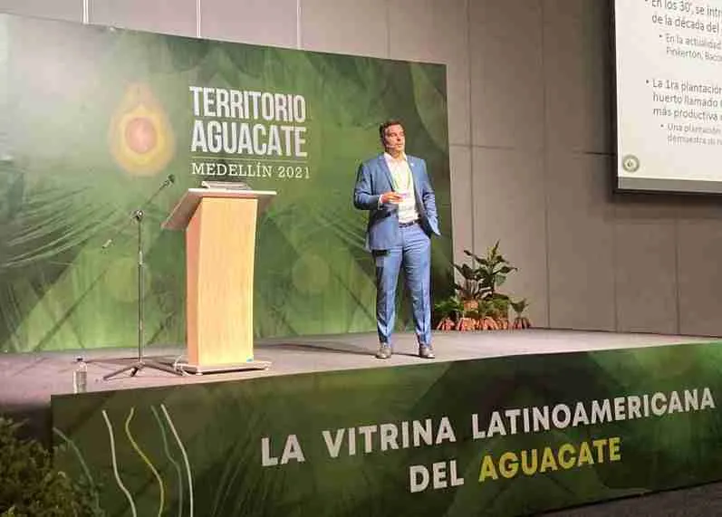 Francisco Contardo-Sfeir director ejecutivo del Comité de Paltas de Chile. territorio Aguacate 2021 - Negocios Latinoamérica - Avisos del Agro
