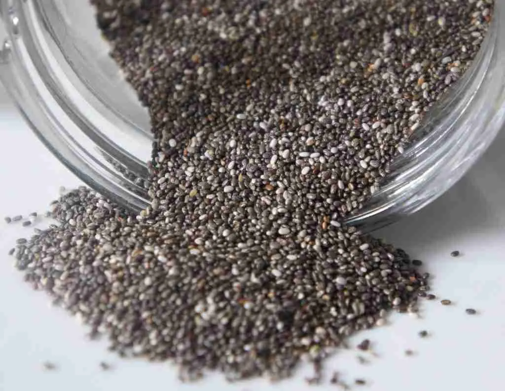 Chía, fuente de omega 3, 6 y minerales como el magnesio