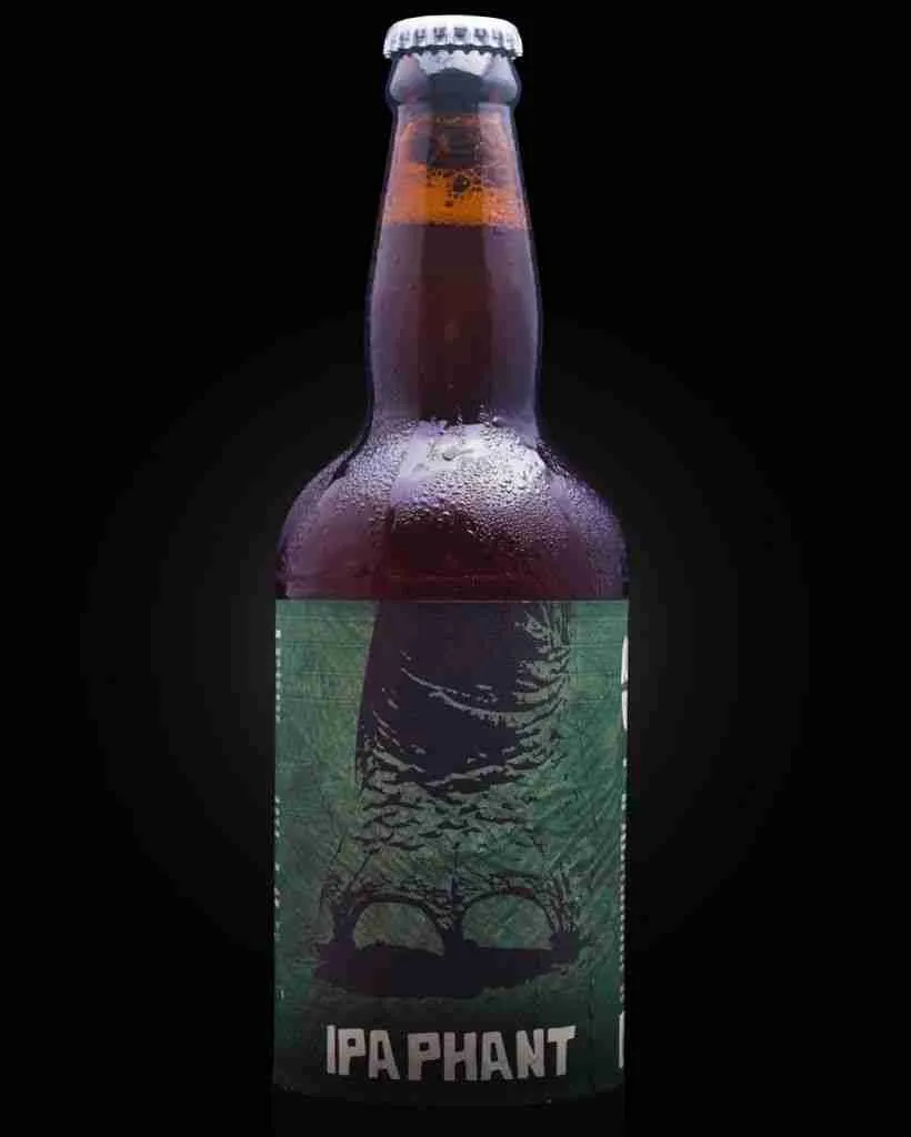 IPA PHANT ROCCO BEER cerveza artesanal uruguaya El Mercado de La Cocina de Gualberto emarket Uruguay 820x1024 1