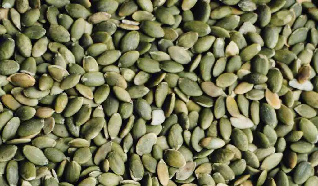 Las Semillas de Calabaza 6 Las Semillas de Calabaza contienen vitaminas A, B3 y K, así como también incluyen ácido fólico. No solo eso: también contienen ácido linoleico, ácidos grasos omega-6 y ácidos grasos omega-3.