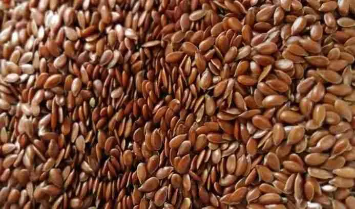 Las semillas de lino poseen tres propiedades nutricionales que las destacan entre los demás alimentos.