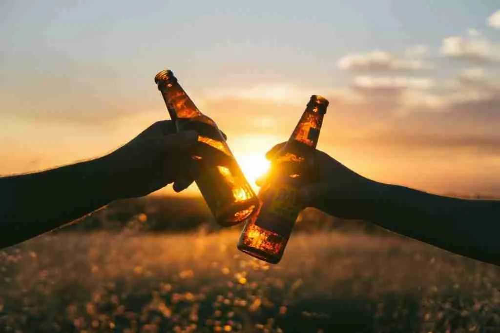 Cervezas Artesanales Nacionales e Importadas