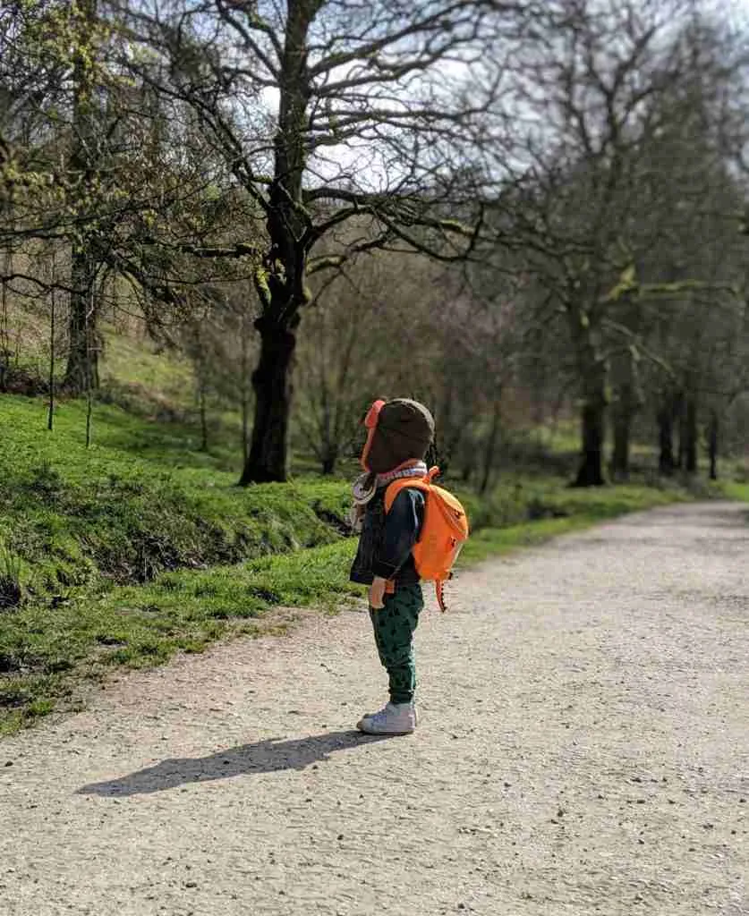 pexels sofielafée studio 2529285