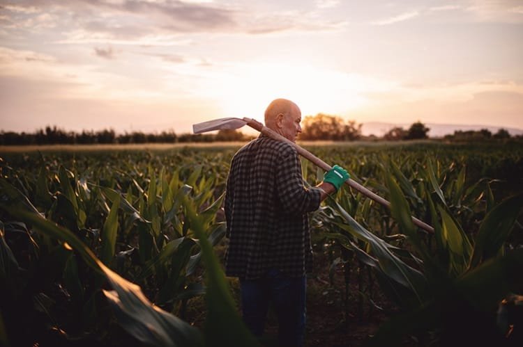 Sancor Seguros lanza su campaña de seguros agropecuarios 2024/2025